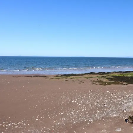 Pears * ホワイトヘイブン